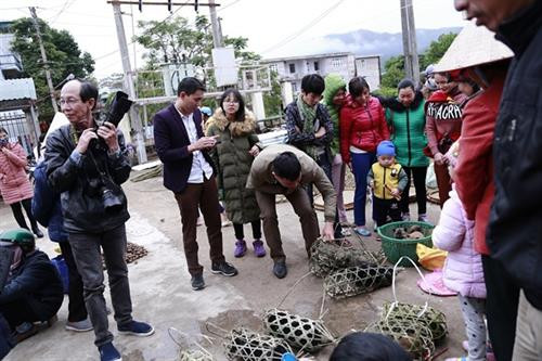 Độc đáo chợ phiên vùng cao Bình Liêu ảnh 7 Độc đáo chợ phiên vùng cao Bình Liêu ảnh 7