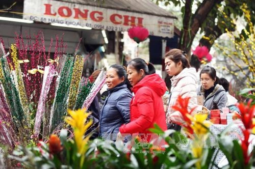 Chợ hoa Tết phố Hàng Lược ảnh 5 Chợ hoa Tết phố Hàng Lược ảnh 5