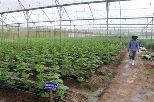 Ảnh minh họa Ảnh minh họa