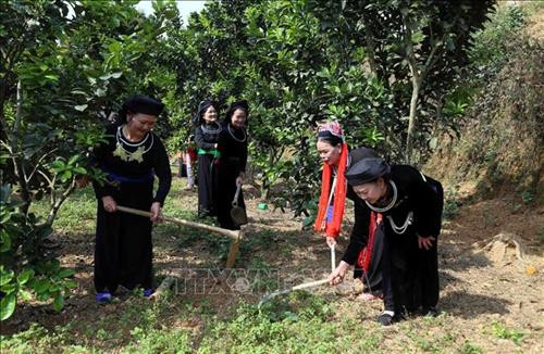 Bà Hà Thị Mỵ (đầu tiên bên trái ảnh) hướng dẫn bà con trong thôn chăm sóc cây ăn quả, phát triển kinh tế gia đình. Ảnh Quang Đán - TTXVN Bà Hà Thị Mỵ (đầu tiên bên trái ảnh) hướng dẫn bà con trong thôn chăm sóc cây ăn quả, phát triển kinh tế gia đình. Ảnh Quang Đán - TTXVN