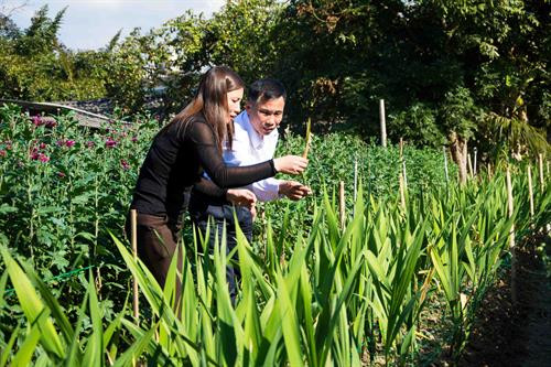 Cán bộ xã Thanh Hưng cùng người dân kiểm tra sự phát triển của cây hoa. Ảnh: Xuân Tư - TTXVN Cán bộ xã Thanh Hưng cùng người dân kiểm tra sự phát triển của cây hoa. Ảnh: Xuân Tư - TTXVN