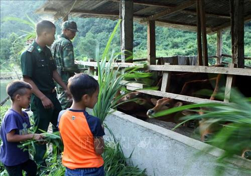 Cán bộ, chiến sĩ biên phòng cùng trẻ em chăm sóc đàn bò. Ảnh: Việt Hoàng – TTXVN Cán bộ, chiến sĩ biên phòng cùng trẻ em chăm sóc đàn bò. Ảnh: Việt Hoàng – TTXVN
