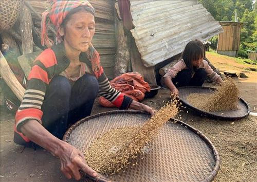 Bà con La Hủ bản Hà Si đã có cái ăn, cái mặc, không còn cảnh đói rét trên rừng sâu như trước nữa. Ảnh: Việt Hoàng – TTXVN Bà con La Hủ bản Hà Si đã có cái ăn, cái mặc, không còn cảnh đói rét trên rừng sâu như trước nữa. Ảnh: Việt Hoàng – TTXVN