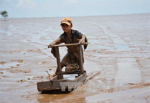 Nghề “trượt mong” ở Trần Đề ảnh 2 Nghề “trượt mong” ở Trần Đề ảnh 2