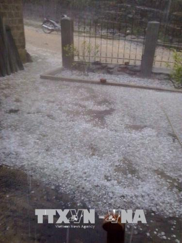 Hạt mưa đá có đường kính trung bình từ 1 đến 2cm. Ảnh: Hương Thu - TTXVN