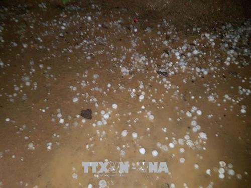 Hạt mưa đá có đường kính trung bình từ 1 đến 2cm. Ảnh: Hương Thu - TTXVN
