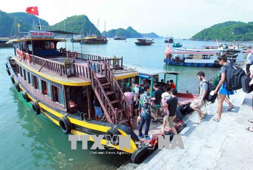 Phà Gót, một trong những tuyến giao thông đường thủy huyết mạch phục vụ khách tham quan đến đảo Cát Bà. Ảnh: An Đăng - TTXVN Phà Gót, một trong những tuyến giao thông đường thủy huyết mạch phục vụ khách tham quan đến đảo Cát Bà. Ảnh: An Đăng - TTXVN