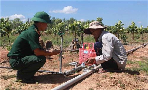 Cán bộ Đoàn Kinh tế-Quốc phòng 737 hướng dẫn người dân xã Ia R’vê, huyện Ea Súp lắp ống nước tưới tiết kiệm cho cây trồng. Ảnh: Phạm Cường-TTXVN Cán bộ Đoàn Kinh tế-Quốc phòng 737 hướng dẫn người dân xã Ia R’vê, huyện Ea Súp lắp ống nước tưới tiết kiệm cho cây trồng. Ảnh: Phạm Cường-TTXVN