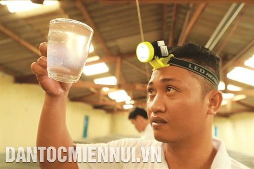 Kiểm tra chất lượng tôm giống. Ảnh: Hoàng Hà