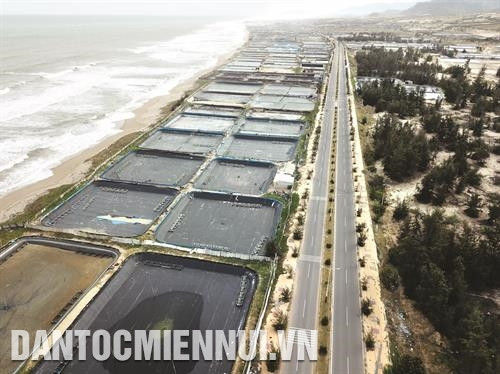 Với bờ biển dài 105 km, nhiệt độ trung bình cao, ổn định, nguồn nước biển chất lượng tốt, Ninh Thuận có điều kiện thuận lợi để phát triển nghề nuôi tôm giống. Ảnh: Hoàng Hà