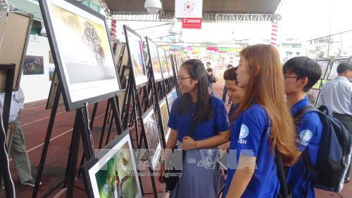 Các bạn học sinh sinh viên tham quan triển lãm. Ảnh: Gia Thuận - TTXVN