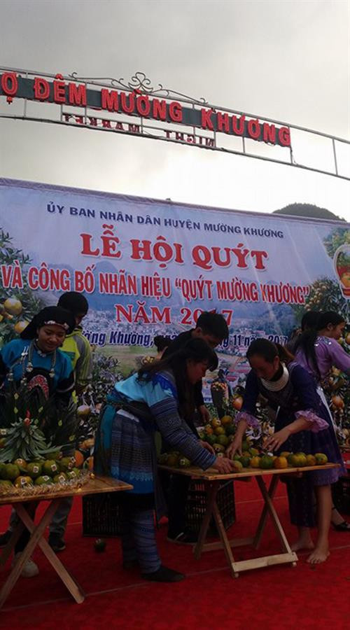 Lễ công bố thương hiệu quýt Mường Khương. Ảnh baotintuc.vn