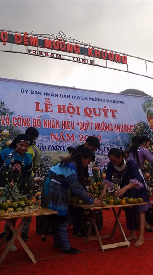 Lễ công bố thương hiệu quýt Mường Khương. Ảnh baotintuc.vn