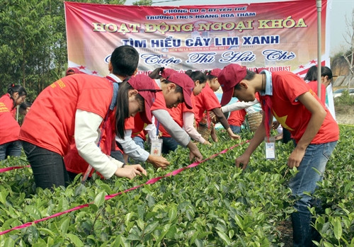 Học sinh trải nghiệm hái chè tại Khu du lịch tâm linh, sinh thái Xuân Lung - Thác Ngà. Ảnh: Đồng Thúy-TTXVN Học sinh trải nghiệm hái chè tại Khu du lịch tâm linh, sinh thái Xuân Lung - Thác Ngà. Ảnh: Đồng Thúy-TTXVN
