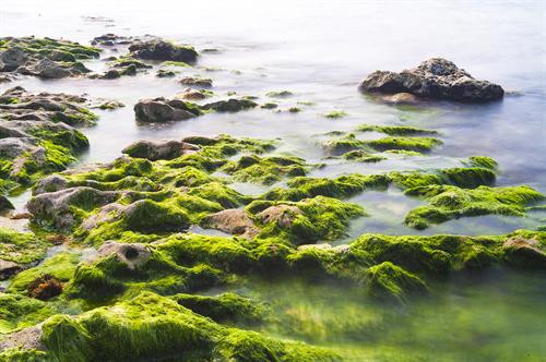Môi trường phun trào núi lửa ở đảo Lý Sơn khá đa dạng, mỗi đợt phun trào tạo thành các lớp dung nham có bề dày khác nhau. Đến nay, dấu tích của núi lửa phun trào vẫn còn nguyên vẹn tại khu vực này. Ảnh: Minh Đức - TTXVN