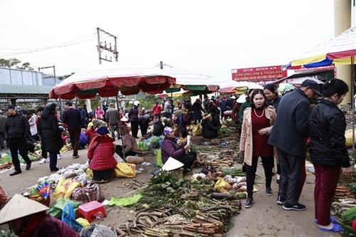 Cứ ngày cuối tuần chợ phiên lại trở nên nhộn nhịp, huyên náo. Là phiên chợ lớn nhất của huyện, bày bán, đủ các mặt hàng đặc trưng của bà con dân tộc ở đây Nhưng đặc trưng nhất của phiên chợ là hàng dài, bày bán cây dược liệu, lá tắm, cây thuốc để ngâm rượu, được lấy trong tự nhiên của người dân tộc Sán Chỉ, Dao, Tày. Bà con bày bán một cách rất đơn giản, chủ yếu vào mùa này là củ Gừng, khoai sọ, khoai lang… Ngoài ra còn các loại có các loại nông sản được ba con hái trong rừng. Hay những chai mật ong vàng óng ánh, được người dân lấy trong tự nhiên. Mỗi người, tự tìm cho mình một chỗ riêng bán hàng. Đến với góc vật nuôi là những chú chó dễ thương, được bỏ vào những chiếc lồng nhỏ xinh, đang đợi chủ mới. Mỗi người lại chọn cho một cánh mua sắm riêng. Ở một góc chợ khác là nơi bày bán những chiếc lồng đan, để phục vụ sản xuất Đây là khuôn bánh tráng phở, tạo nên món phở xào Đồng văn nổi tiếng của Bình Liêu. Còn không gian ẩm thực được bày bán ngay cổng chợ với những loại bánh đặc trưng như bánh ngải, cooc mò, bánh chưng, bánh tài lồng… đã trở thành một nơi không thể bỏ lỡ của du khách đến với chợ phiên để cảm nhận và trải nghiệm. Những chiếc bánh tài lồng còn thơm mùi nóng hổi. Chợ phiên không chỉ hấp dẫn với du khách trong nước mà còn với cả du khách nước ngoài, là một điểm đến không thể bỏ qua trong hành trình khám phá vẻ đẹp Bình Liêu. Du khách ngạc nhiên và trầm trồ khi đến với phiên chợ, bởi sự hấp dẫn của nông sản và con người nơi đây. Du khách tranh thủ ghi lại lại khoảnh khoắc đáng đáng nhớ khi trải nghiệm chợ phiên Cứ ngày cuối tuần chợ phiên lại trở nên nhộn nhịp, huyên náo. Là phiên chợ lớn nhất của huyện, bày bán, đủ các mặt hàng đặc trưng của bà con dân tộc ở đây Nhưng đặc trưng nhất của phiên chợ là hàng dài, bày bán cây dược liệu, lá tắm, cây thuốc để ngâm rượu, được lấy trong tự nhiên của người dân tộc Sán Chỉ, Dao, Tày. Bà con bày bán một cách rất đơn giản, chủ yếu vào mùa này là củ Gừng, khoai sọ, khoai lang… Ngoài ra còn các loại có các loại nông sản được ba con hái trong rừng. Hay những chai mật ong vàng óng ánh, được người dân lấy trong tự nhiên. Mỗi người, tự tìm cho mình một chỗ riêng bán hàng. Đến với góc vật nuôi là những chú chó dễ thương, được bỏ vào những chiếc lồng nhỏ xinh, đang đợi chủ mới. Mỗi người lại chọn cho một cánh mua sắm riêng. Ở một góc chợ khác là nơi bày bán những chiếc lồng đan, để phục vụ sản xuất Đây là khuôn bánh tráng phở, tạo nên món phở xào Đồng văn nổi tiếng của Bình Liêu. Còn không gian ẩm thực được bày bán ngay cổng chợ với những loại bánh đặc trưng như bánh ngải, cooc mò, bánh chưng, bánh tài lồng… đã trở thành một nơi không thể bỏ lỡ của du khách đến với chợ phiên để cảm nhận và trải nghiệm. Những chiếc bánh tài lồng còn thơm mùi nóng hổi. Chợ phiên không chỉ hấp dẫn với du khách trong nước mà còn với cả du khách nước ngoài, là một điểm đến không thể bỏ qua trong hành trình khám phá vẻ đẹp Bình Liêu. Du khách ngạc nhiên và trầm trồ khi đến với phiên chợ, bởi sự hấp dẫn của nông sản và con người nơi đây. Du khách tranh thủ ghi lại lại khoảnh khoắc đáng đáng nhớ khi trải nghiệm chợ phiên