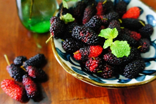 Ảnh minh họa Ảnh minh họa