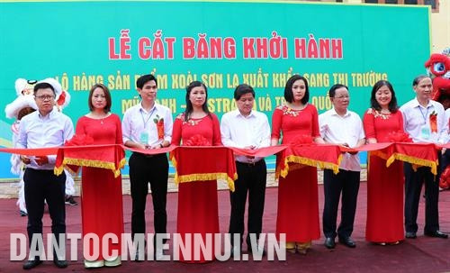 Nghi thức cắt băng khởi hành lô hàng sản phẩm xoài xuất khẩu sang thị trường Mỹ, Anh, Australia và Trung Quốc. Ảnh: Nguyễn Cường Nghi thức cắt băng khởi hành lô hàng sản phẩm xoài xuất khẩu sang thị trường Mỹ, Anh, Australia và Trung Quốc. Ảnh: Nguyễn Cường