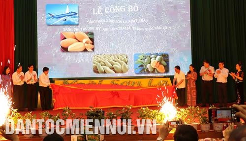 Lãnh đạo Bộ Nông nghiệp và Phát triển nông thôn, tỉnh Sơn La, doanh nghiệp xuất khẩu và hợp tác xã có xoài xuất khẩu thực hiện nghi thức công bố sản phẩm xoài xuất khẩu năm 2019. Ảnh: Nguyễn Cường Lãnh đạo Bộ Nông nghiệp và Phát triển nông thôn, tỉnh Sơn La, doanh nghiệp xuất khẩu và hợp tác xã có xoài xuất khẩu thực hiện nghi thức công bố sản phẩm xoài xuất khẩu năm 2019. Ảnh: Nguyễn Cường