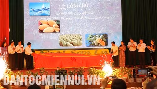Lãnh đạo Bộ Nông nghiệp và Phát triển nông thôn, tỉnh Sơn La, doanh nghiệp xuất khẩu và hợp tác xã có xoài xuất khẩu thực hiện nghi thức công bố sản phẩm xoài xuất khẩu năm 2019. Ảnh: Nguyễn Cường