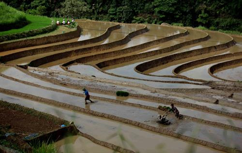 Lai Châu mùa nước đổ ảnh 11 Lai Châu mùa nước đổ ảnh 11