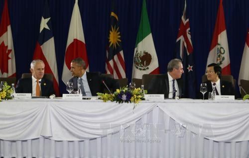 Chủ tịch nước tiếp tục dự các hoạt động tại APEC 23 ảnh 1