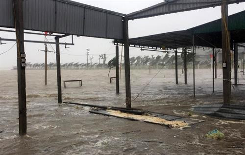 Nghệ An sơ tán 17.000 dân và cảnh báo mọi người không ra đường ảnh 2 Nghệ An sơ tán 17.000 dân và cảnh báo mọi người không ra đường ảnh 2