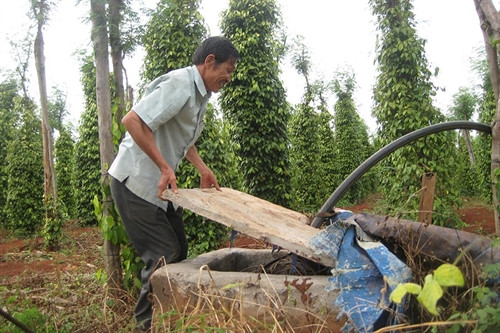 Cứ 10 giếng được đào hoặc khoan lên thì có đến 6 giếng không có nước.Ảnh: Ngọc Thu Cứ 10 giếng được đào hoặc khoan lên thì có đến 6 giếng không có nước.Ảnh: Ngọc Thu