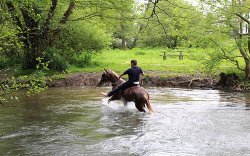 Phóng sự ảnh về tương lai bất trắc của những đứa trẻ Di gan thế kỷ 21 ảnh 12 Phóng sự ảnh về tương lai bất trắc của những đứa trẻ Di gan thế kỷ 21 ảnh 12