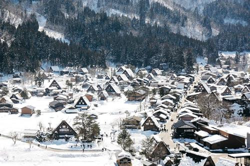 Shirakawago thuộc tỉnh Gifu, Nhật Bản. Đây là một trong những ngôi làng độc đáo của xứ Phù Tang. Mặc cho những biến đổi về kinh tế, thiên tai, Shirakawago vẫn giữ nguyên hình dáng, kiến trúc từ 400 năm trước. Shirakawago chỉ cách các thành phố lớn như Nagoya hay Kanazawa 2-3 tiếng đi xe buýt. Làng được UNESCO công nhận là di sản thế giới từ năm 1995. Hiện Shirakawago có khoảng 114 ngôi nhà với hơn 20 căn nhà cổ bằng gỗ được gìn giữ gần như nguyên vẹn. Điểm đặc biệt của những căn nhà này là mái nhà được thiết kế như bàn tay chắp vào nhau để cầu nguyện. Thiết kế này vừa mang tính tôn giáo vừa để chống chọi với những trận bão tuyết. Trong tiếng Nhật Bản, Shirakawago có nghĩa là bạch xuyên hương, tức làng của những con sông trắng. Người dân ở đây vẫn gìn giữ và duy trì nhiều nghi lễ cổ xưa có từ thế kỷ XVII. Một trong những lễ hội đặc biệt nhất ở đây là "Shirakawago Winter Light-up". Vào mùa đông, cả ngôi làng sẽ thắp sáng vào 6 đêm trong 3 tuần (mỗi tuần 2 đêm). Mỗi năm, làng Shirakawago chỉ lên đèn 6 lần nên mặc cho thời tiết giá lạnh, hàng nghìn du khách vẫn đổ về đây để được chiêm ngưỡng cảnh tượng đặc biệt này. Mỗi đêm, chỉ 500 du khách được leo lên đỉnh núi để chiêm ngưỡng khung cảnh độc nhất vô nhị này. Giữa tiết trời se lạnh, những ngôi nhà gỗ phủ đầy tuyết trắng đồng loạt lên đèn tạo nên một khung cảnh huyền ảo như bước ra từ một câu chuyện cổ tích. Du khách có thể đến làng Shirakawago suốt 4 mùa trong năm. Mùa nào cũng sẽ có những lễ hội truyền thống rất thú vị. Để vào làng, du khách phải đi qua một cây cầu dây dài 107 m. Người dân gọi đây là cầu Deaibasi, có nghĩa là cầu Kỳ duyên với mong muốn mọi người luôn hòa thuận, sum vầy. Mùa đông, cây cầu được phủ tuyết trắng, mùa xuân tuyết tan tạo thành một con suối nhỏ ngày đêm róc rách chảy. Trước cổng làng có một con sông nhỏ chạy men theo bìa rừng. Vào mùa thu, những hàng cây thay lá dọc 2 bờ sông tạo nên một khung cảnh lãng mạn cho làng cổ Shirakawago. Nhiệt độ trung bình ở làng Shirakawago vào mùa đông luôn dưới 0 độ C. Vào những ngày này, người dân rất ít ra ngoài, mọi sinh hoạt gia đình đều gói gọn trong ngôi nhà gỗ 3 tầng. Tầng một thường là phòng sum vầy, có lò sưởi. Các tầng tiếp theo dùng để nuôi tằm hoặc chứa các dụng cụ nông nghiệp. Ngày nay người dân ở Shirakawago không còn làm nông nhiều, những tầng này chủ yếu phục vụ du khách tham quan. Shirakawago thuộc tỉnh Gifu, Nhật Bản. Đây là một trong những ngôi làng độc đáo của xứ Phù Tang. Mặc cho những biến đổi về kinh tế, thiên tai, Shirakawago vẫn giữ nguyên hình dáng, kiến trúc từ 400 năm trước. Shirakawago chỉ cách các thành phố lớn như Nagoya hay Kanazawa 2-3 tiếng đi xe buýt. Làng được UNESCO công nhận là di sản thế giới từ năm 1995. Hiện Shirakawago có khoảng 114 ngôi nhà với hơn 20 căn nhà cổ bằng gỗ được gìn giữ gần như nguyên vẹn. Điểm đặc biệt của những căn nhà này là mái nhà được thiết kế như bàn tay chắp vào nhau để cầu nguyện. Thiết kế này vừa mang tính tôn giáo vừa để chống chọi với những trận bão tuyết. Trong tiếng Nhật Bản, Shirakawago có nghĩa là bạch xuyên hương, tức làng của những con sông trắng. Người dân ở đây vẫn gìn giữ và duy trì nhiều nghi lễ cổ xưa có từ thế kỷ XVII. Một trong những lễ hội đặc biệt nhất ở đây là "Shirakawago Winter Light-up". Vào mùa đông, cả ngôi làng sẽ thắp sáng vào 6 đêm trong 3 tuần (mỗi tuần 2 đêm). Mỗi năm, làng Shirakawago chỉ lên đèn 6 lần nên mặc cho thời tiết giá lạnh, hàng nghìn du khách vẫn đổ về đây để được chiêm ngưỡng cảnh tượng đặc biệt này. Mỗi đêm, chỉ 500 du khách được leo lên đỉnh núi để chiêm ngưỡng khung cảnh độc nhất vô nhị này. Giữa tiết trời se lạnh, những ngôi nhà gỗ phủ đầy tuyết trắng đồng loạt lên đèn tạo nên một khung cảnh huyền ảo như bước ra từ một câu chuyện cổ tích. Du khách có thể đến làng Shirakawago suốt 4 mùa trong năm. Mùa nào cũng sẽ có những lễ hội truyền thống rất thú vị. Để vào làng, du khách phải đi qua một cây cầu dây dài 107 m. Người dân gọi đây là cầu Deaibasi, có nghĩa là cầu Kỳ duyên với mong muốn mọi người luôn hòa thuận, sum vầy. Mùa đông, cây cầu được phủ tuyết trắng, mùa xuân tuyết tan tạo thành một con suối nhỏ ngày đêm róc rách chảy. Trước cổng làng có một con sông nhỏ chạy men theo bìa rừng. Vào mùa thu, những hàng cây thay lá dọc 2 bờ sông tạo nên một khung cảnh lãng mạn cho làng cổ Shirakawago. Nhiệt độ trung bình ở làng Shirakawago vào mùa đông luôn dưới 0 độ C. Vào những ngày này, người dân rất ít ra ngoài, mọi sinh hoạt gia đình đều gói gọn trong ngôi nhà gỗ 3 tầng. Tầng một thường là phòng sum vầy, có lò sưởi. Các tầng tiếp theo dùng để nuôi tằm hoặc chứa các dụng cụ nông nghiệp. Ngày nay người dân ở Shirakawago không còn làm nông nhiều, những tầng này chủ yếu phục vụ du khách tham quan.