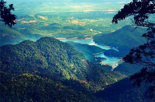 Đối với những người thích tìm hiểu về với thiên nhiên, yêu thích sựu hoang sơ, đơn giản, tĩnh lặng thì Vườn Quốc gia Bạch Mã đúng là báu vật. Nguồn : Internet