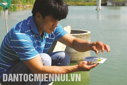 Thường xuyên kiểm tra, duy trì ổn định độ pH của nước ao giới hạn từ 7,5 - 8,5