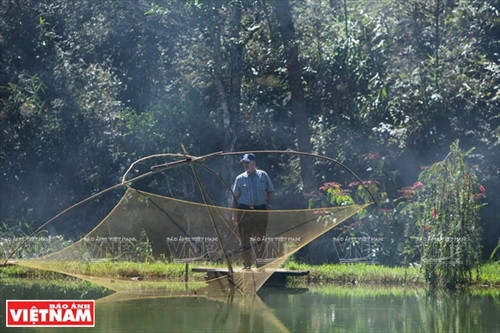 Huyền bí Ma Rừng lữ quán ảnh 6