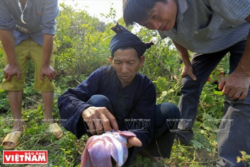 Cận cảnh mâm lễ vật cúng bản của người Cống. Mâm lễ vật này được chuẩn bị ở nhà thày mo. Thày mo làm lễ tại nhà trước khi lên vùng đất linh thiêng để làm lễ cúng bản. Người Cống rời nhà thày mo cùng lễ vật dâng lên hai vị thần nước và thần rừng. Ngoài đồ lễ được thày mo chuẩn bị, họ cũng mang theo gạo, gà và lợn để tế thần linh. Người Cống phát quang khu đất thiêng nơi có nguồn nước dẫn về bản. Trước khi làm lễ, trai bản dựng ngôi nhà nhỏ để đón thần linh về chứng kiến lễ cúng của họ. Thày mo đọc bài khấn đầu tiên trong lễ cúng để mời thần linh về cho dân bản làm lễ. Thày mo giết gà làm vật tế cầu vị thần linh che chở cho bản làng của họ được an lành. C huẩn bị đồ chín để cúng tạ ơn các vị thần. Trai bản giúp thày mo chuẩn bị lễ vật để làm lễ cúng. Thày mo rót rượu mời các vị thần sau khi thực hiện xong bài khấn. Xem bói từ gan là phần rất quan trọng của lễ cúng bản. Qua những đặc điểm của lá ga vừa tế thần, thày mo sẽ nói cho dân bản về kết quả của buổi lễ. Lễ cúng bản của người Cống chỉ dành cho đàn ông. Họ sẽ ăn uống theo cách thức cổ xưa như ông bà tổ tiên của họ ngay tại vùng đất thiêng của bản. Dấu hiệu cấm bản của người Cống. Từ lúc những “chiếc khiêng” này được cắm xuống, bản Nậm Pục sẽ nội bất xuất ngoại bất nhập. Cận cảnh mâm lễ vật cúng bản của người Cống. Mâm lễ vật này được chuẩn bị ở nhà thày mo. Thày mo làm lễ tại nhà trước khi lên vùng đất linh thiêng để làm lễ cúng bản. Người Cống rời nhà thày mo cùng lễ vật dâng lên hai vị thần nước và thần rừng. Ngoài đồ lễ được thày mo chuẩn bị, họ cũng mang theo gạo, gà và lợn để tế thần linh. Người Cống phát quang khu đất thiêng nơi có nguồn nước dẫn về bản. Trước khi làm lễ, trai bản dựng ngôi nhà nhỏ để đón thần linh về chứng kiến lễ cúng của họ. Thày mo đọc bài khấn đầu tiên trong lễ cúng để mời thần linh về cho dân bản làm lễ. Thày mo giết gà làm vật tế cầu vị thần linh che chở cho bản làng của họ được an lành. C huẩn bị đồ chín để cúng tạ ơn các vị thần. Trai bản giúp thày mo chuẩn bị lễ vật để làm lễ cúng. Thày mo rót rượu mời các vị thần sau khi thực hiện xong bài khấn. Xem bói từ gan là phần rất quan trọng của lễ cúng bản. Qua những đặc điểm của lá ga vừa tế thần, thày mo sẽ nói cho dân bản về kết quả của buổi lễ. Lễ cúng bản của người Cống chỉ dành cho đàn ông. Họ sẽ ăn uống theo cách thức cổ xưa như ông bà tổ tiên của họ ngay tại vùng đất thiêng của bản. Dấu hiệu cấm bản của người Cống. Từ lúc những “chiếc khiêng” này được cắm xuống, bản Nậm Pục sẽ nội bất xuất ngoại bất nhập.