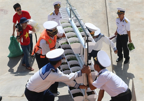 Đoàn kiều bào Hàn Quốc lắp đặt giàn rau trên đảo Đá Lớn A. Ảnh: Hứa Chung – TTXVN Đoàn kiều bào Hàn Quốc lắp đặt giàn rau trên đảo Đá Lớn A. Ảnh: Hứa Chung – TTXVN