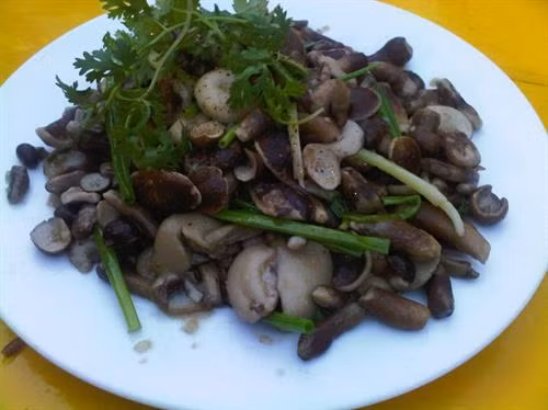 Về Phú Quốc thưởng thức nấm tràm ảnh 3