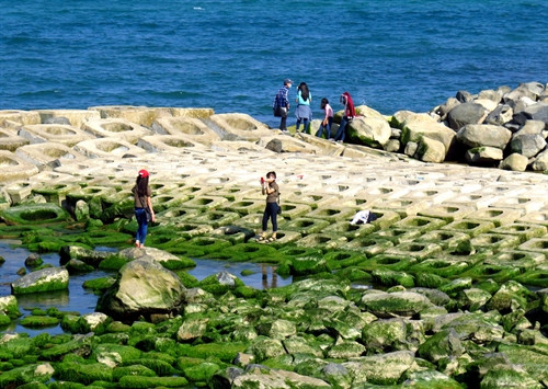 Các bạn trẻ leo qua bãi đá rêu để chụp ảnh rất nguy hiểm đến tính mạng. Các bạn trẻ leo qua bãi đá rêu để chụp ảnh rất nguy hiểm đến tính mạng.