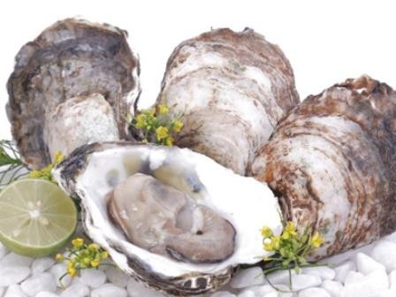 Vỏ hàu là vị thuốc quý ảnh 2 Vỏ hàu là vị thuốc quý ảnh 2