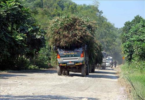 Phương tiện tham gia giao thông qua đường ĐT 186 tăng đột biến. Ảnh: Quang Đán – TTXVN Phương tiện tham gia giao thông qua đường ĐT 186 tăng đột biến. Ảnh: Quang Đán – TTXVN