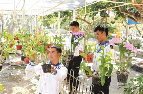 Chiến sĩ đảo Song Tử Tây chăm sóc vườn lan Chiến sĩ đảo Song Tử Tây chăm sóc vườn lan