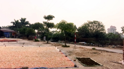 Nan giải kiểm soát chất lượng dược liệu ảnh 1