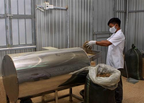 Phát triển cây dược liệu - hướng đi mới cho đồng bào huyện miền núi Con Cuông ảnh 3 Phát triển cây dược liệu - hướng đi mới cho đồng bào huyện miền núi Con Cuông ảnh 3