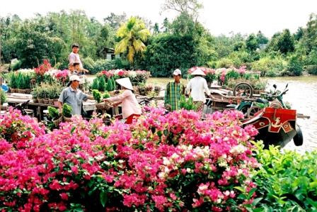 Chợ hoa Bến Tre. Ảnh: baodongkhoi.com.vn Chợ hoa Bến Tre. Ảnh: baodongkhoi.com.vn