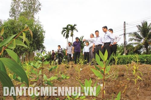 Mô hình kè sinh thái được lãnh đạo tỉnh Hậu Giang đánh giá cao sau chuyến khảo sát vào tháng 8/2019. Ảnh: Hồng Thái Mô hình kè sinh thái được lãnh đạo tỉnh Hậu Giang đánh giá cao sau chuyến khảo sát vào tháng 8/2019. Ảnh: Hồng Thái