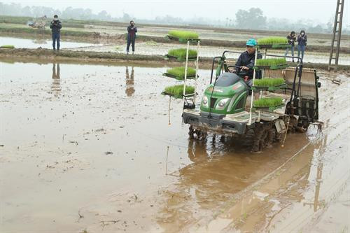 Phó Bí thư Thường trực Thành ủy Hà Nội Ngô Thị Thanh Hằng và đoàn công tác của Ban Chỉ đạo Chương trình số 02-CTr/TU kiểm tra mô hình mạ khay, máy cấy tại xã Hương Ngải, huyện Thạch Thất (Hà Nội). Phó Bí thư Thường trực Thành ủy Hà Nội Ngô Thị Thanh Hằng và Giám đốc Sở Nông nghiệp và Phát triển nông thôn Hà Nội Chu Phú Mỹ trao đổi kinh nghiệm về việc áp dụng mô hình mạ khay, máy cấy trên địa bàn huyện Thạch Thất (Hà Nội). Phó Bí thư Thường trực Thành ủy Hà Nội Ngô Thị Thanh Hằng thăm hỏi, chúc mừng năm mới một số nông dân và thành viên Hợp tác xã Nông nghiệp xã Hương Ngải. Phó Bí thư Thường trực Thành ủy Hà Nội Ngô Thị Thanh Hằng tặng quà nông dân xã Hương Ngải, huyện Thạch Thất (Hà Nội).
