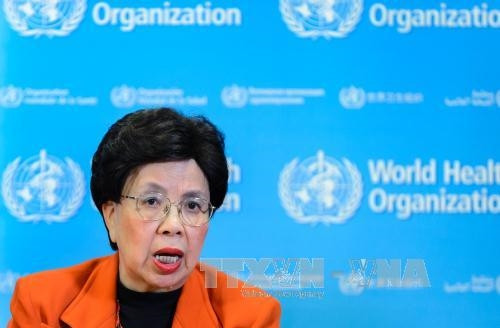 Ảnh (tư liệu): Tổng giám đốc WHO Margaret Chan phát biểu tại cuộc họp báo ở Geneva, Thụy Sĩ ngày 1/2. AFP/TTXVN