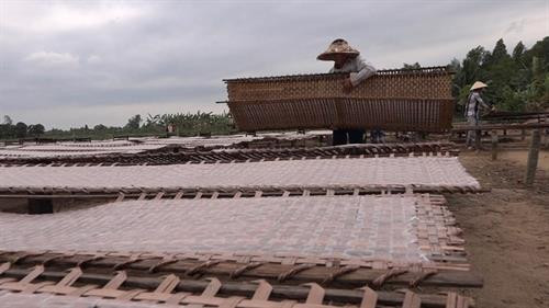 Làng nghề làm bánh tráng Tết cho thu nhập cao ở Cần Thơ ảnh 7 Làng nghề làm bánh tráng Tết cho thu nhập cao ở Cần Thơ ảnh 7