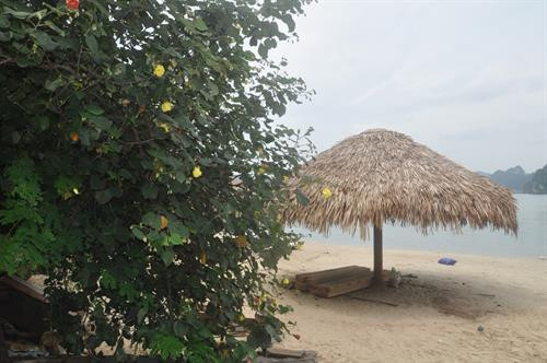 Một góc bãi tắm Soi Sim. Ảnh: baoquangninh.com.vn Một góc bãi tắm Soi Sim. Ảnh: baoquangninh.com.vn