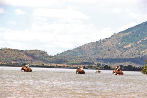 Quang cảnh bình yên trên hồ Lắk. Ảnh: Tuấn Anh Du khách trải nghiệm kéo lưới đánh cá trên hồ Lắk. Ảnh: Tuấn Anh Thật tuyệt vời khi du khách được trải nghiệm cảm giác lắc lư trên lưng những chú voi đi dạo trên hồ Lắk. Ảnh: Tuấn Anh Quang cảnh bình yên trên hồ Lắk. Ảnh: Tuấn Anh Du khách trải nghiệm kéo lưới đánh cá trên hồ Lắk. Ảnh: Tuấn Anh Thật tuyệt vời khi du khách được trải nghiệm cảm giác lắc lư trên lưng những chú voi đi dạo trên hồ Lắk. Ảnh: Tuấn Anh