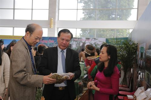 Các đại biểu thăm các gian trưng bày sản phẩm dược liệu. Ảnh: Hồng Ninh-TTXVN Các đại biểu thăm các gian trưng bày sản phẩm dược liệu. Ảnh: Hồng Ninh-TTXVN